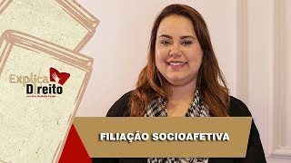 Explica Direito Filiação Socioafetiva  2019 [upl. by Lynelle]