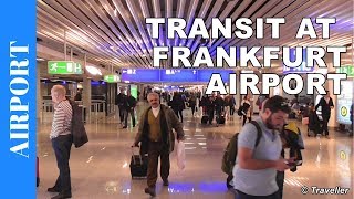 TRANSIT WALK AT FRANKFURT Airport FRA Terminal 1  Connection Flight Transfer Arriving amp Departing [upl. by Asiaj]